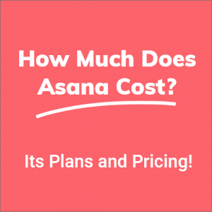 Asana cost and it's pricing. How much does it cost?